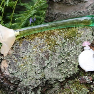 in meinem Garten aufgenommen :-)