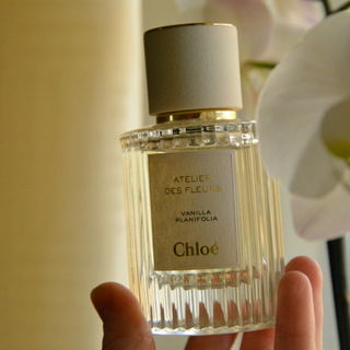 Vanilla Planifolia von Chloé