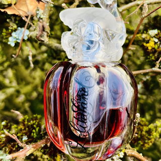 Wie aus einem Märchen… 🧚🏻‍♀️ Lieben Dank!✨