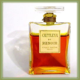 Cattleya - Renoir