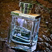 In der Fleuth (von Baeumchen)