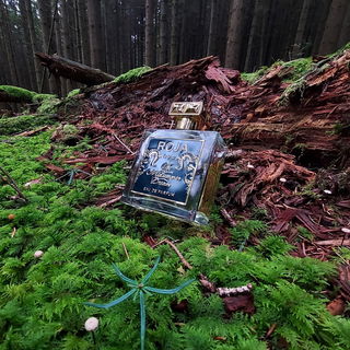 A Midsummer Dream by Roja Parfums