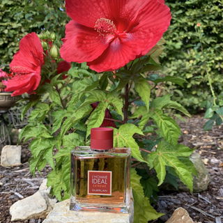 L'Homme Idéal Extrême von Guerlain