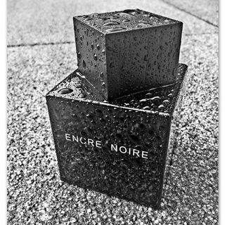 Encre Noire (Eau de Toilette) - Lalique