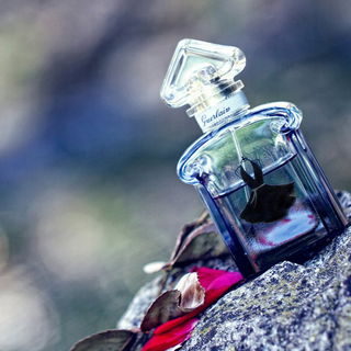 La Petite Robe Noire Ma Robe Sous Le Vent - Guerlain