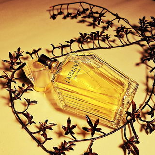 L'Aimant (Eau de Toilette) von Coty