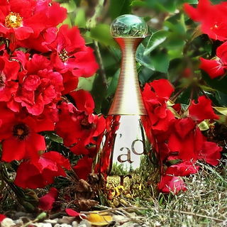 J'adore Adoration En Or von Dior