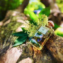 Lilac Path - Aerin
