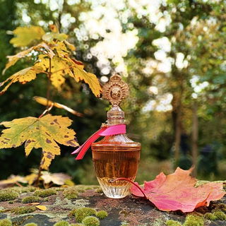 Couture Couture (Eau de Parfum) - Juicy Couture