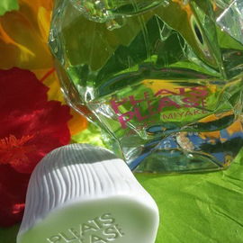 Pleats Please L'Eau - Issey Miyake