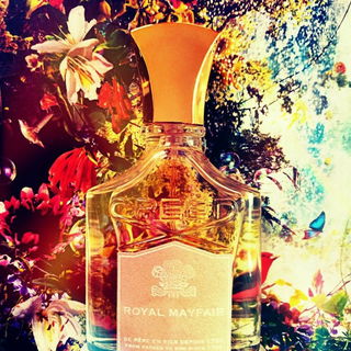 Royal Mayfair (2009) / Windsor von Creed