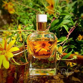 Jour d'Hermès Absolu - Hermès