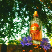 🧡 Bernsteingold 🧡 Lieben Dank für Eure schönen Kommentare ! (by MadameLegras)