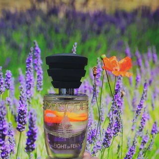 The scent is so minty (and sweet earthy) that I was surprised there is no mint in the notes list. I guess it could be the combined effect of lavender, thyme, patchouli - all from the Lamiaceae (mint) family, and geranium. 🤔