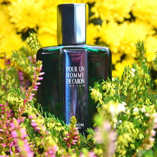Pour Un Homme de Caron (2022) (Parfum) von Caron