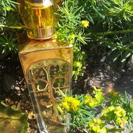 Matar Al Hub (Eau de Parfum) - Al Haramain / الحرمين