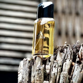 Active Bodies (Eau de Toilette Concentrate) von Adidas