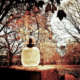 Minotaure (Eau de Toilette) - Paloma Picasso