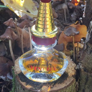 Venezia (1992) (Parfum) - Laura Biagiotti