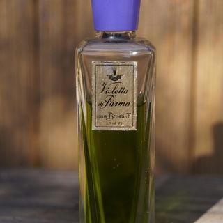 Violetta di Parma - Borsari 1870
