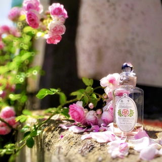 Elisabethan Rose (Eau de Toilette) - Penhaligon's