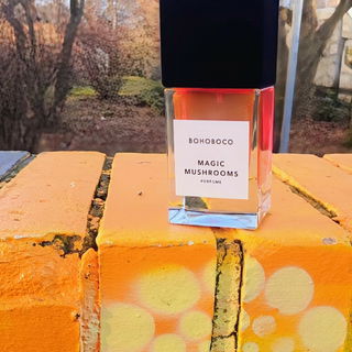 Magic Mushrooms von Bohoboco