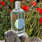 ***Der Frühling startet durch und weckt Erinnerungen an den letzten Sommer am Meer. Lieben Dank fürs Vorbeischauen 🥰*** (von Zimtschnecke)