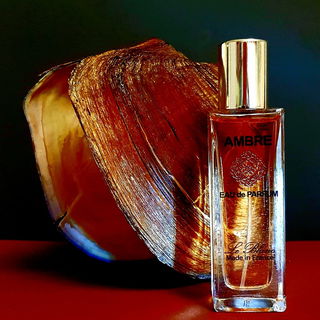 Ambre - Le Blanc