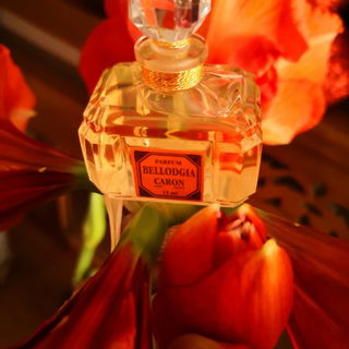Bellodgia (Parfum) von Caron