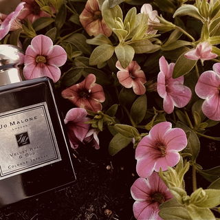 Velvet Rose & Oud (Cologne Intense) - Jo Malone