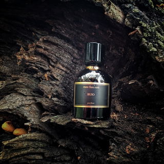 Buio von Meo Fusciuni