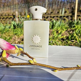 Decision - Amouage