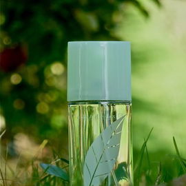 Green Tea (Eau Parfumée) - Elizabeth Arden