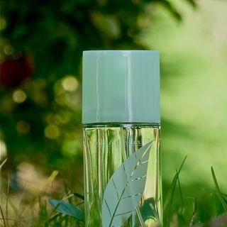 Green Tea (Eau Parfumée) - Elizabeth Arden