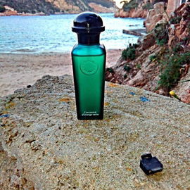 Concentré D'Orange Verte de Hermès  www.hermes.com