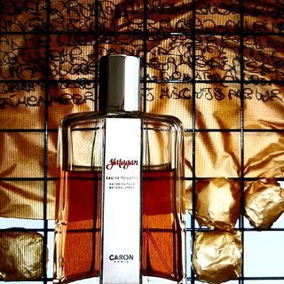 Installation: Geburt der Sprache