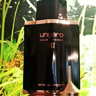 Ungaro pour L'Homme III (Eau de Toilette) von Emanuel Ungaro