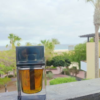 Dior Homme Parfum (2014) by Dior