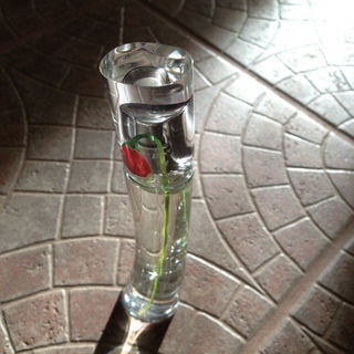 Flower by Kenzo (Eau de Parfum) by Kenzo