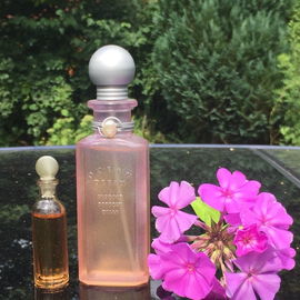 Ocean Dream (Eau de Toilette) - Designer Parfums