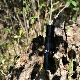 Black (Eau de Toilette) - Kenneth Cole