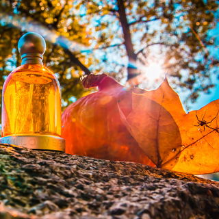 Happy October, Parfumo! 🎉🍂🌞 I wish you welcome to Lempi's Spooky Month! 🥳😎👻🎃🕷️🍁