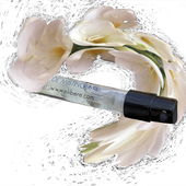 So habe ich den Duft wahrgenommen…(siehe Statement) (von BeJot)