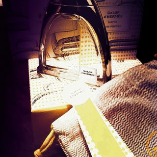 Galop d'Hermès - Hermès