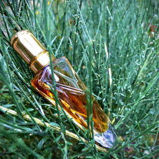 Paris (Fleur de Parfum) - Yves Saint Laurent