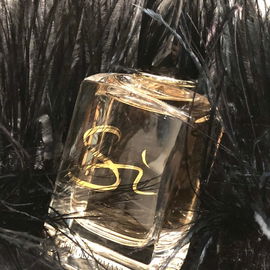 Euphoria Gold - Calvin Klein