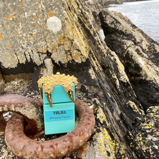 Sea Star Shore