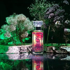 Enchantment - The Dua Brand / Dua Fragrances