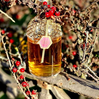 ***Wintersonne, Winterwonne 🌞 Herzlichen Dank für Euren Besuch und ein famoses Winterwochenende ❄️❄️❄️***