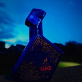 Danke für's Vorbeischauen 🩵💙 (by DorisKa)